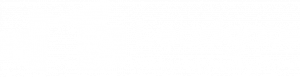 Leadgate Europe Logo